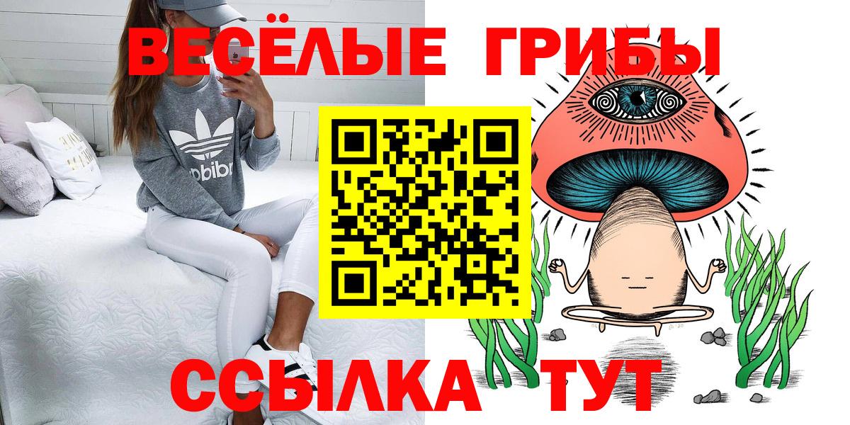 Галлюциногенные грибы Psilocybine cubensis  Вход с VPN  Алексеевка 